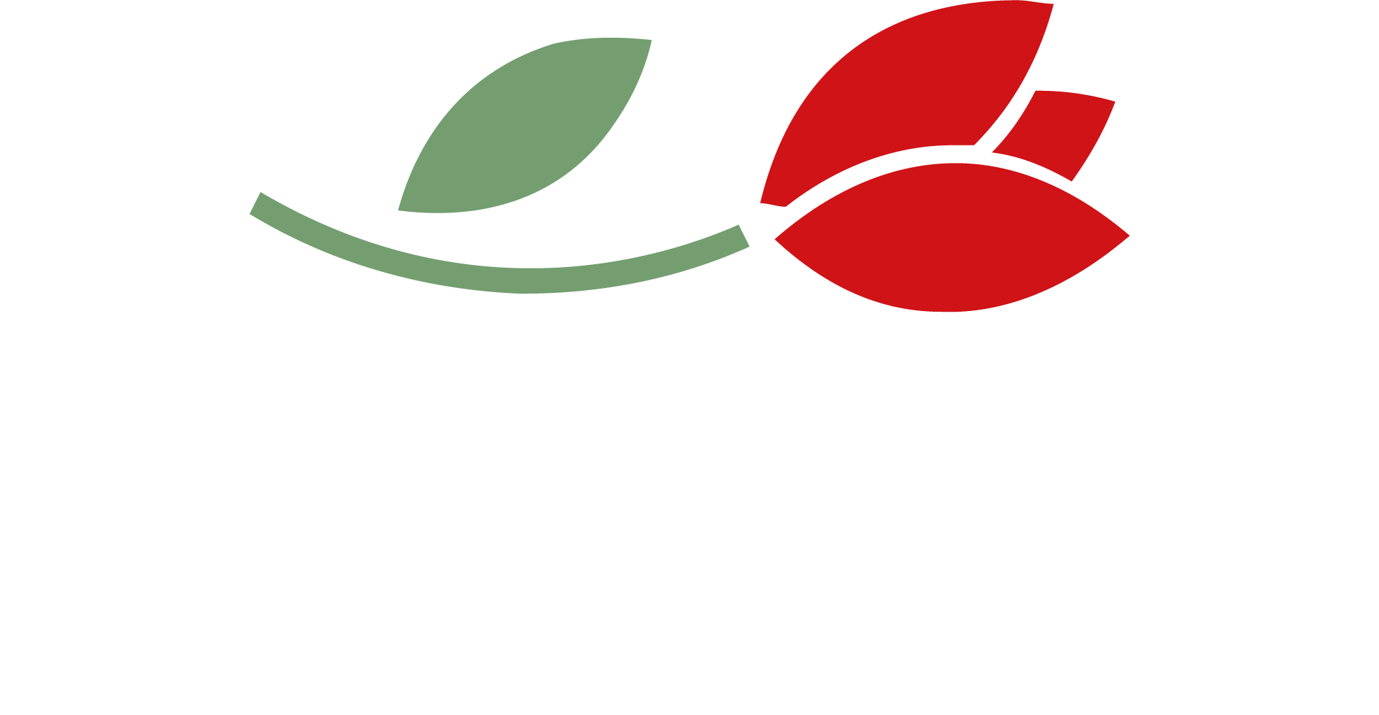 Agence la Tulipe. La com' par le cocktail